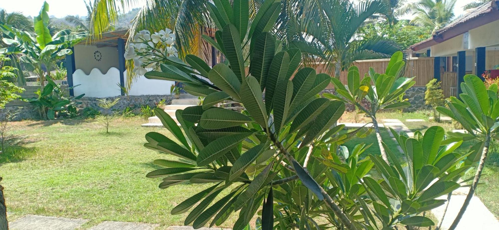Dewi Garden Guesthouse Kuta  Екстериор снимка